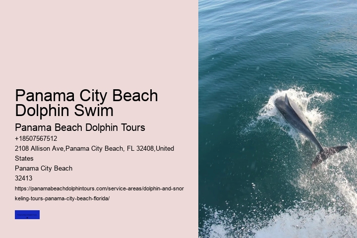 Waverunner Dolphin Tours Near Me