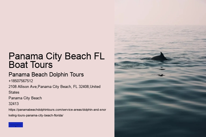 Dolphin Cruise Panama City Beach FL