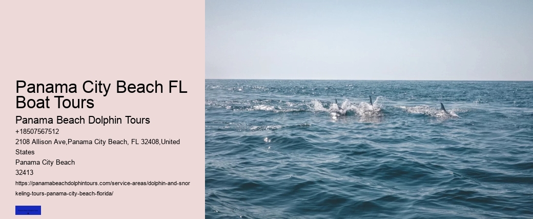 Dolphin Tours Panama City Beach Jet Ski