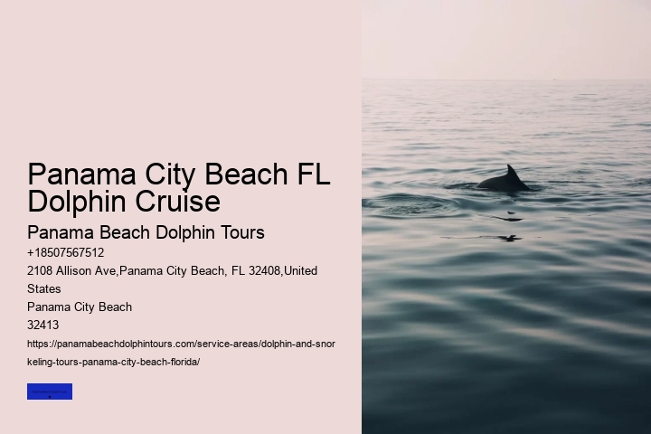 The Best Places In The World To See Wild Dolphins