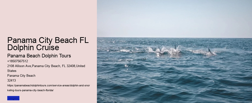 Dolphin Sightseeing Tour Panama City Beach