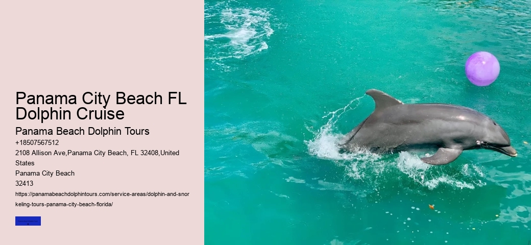 Dolphin Tours At Panama City Beach
