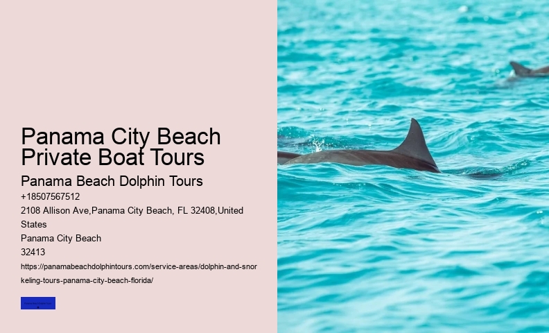 Snorkel Tours
