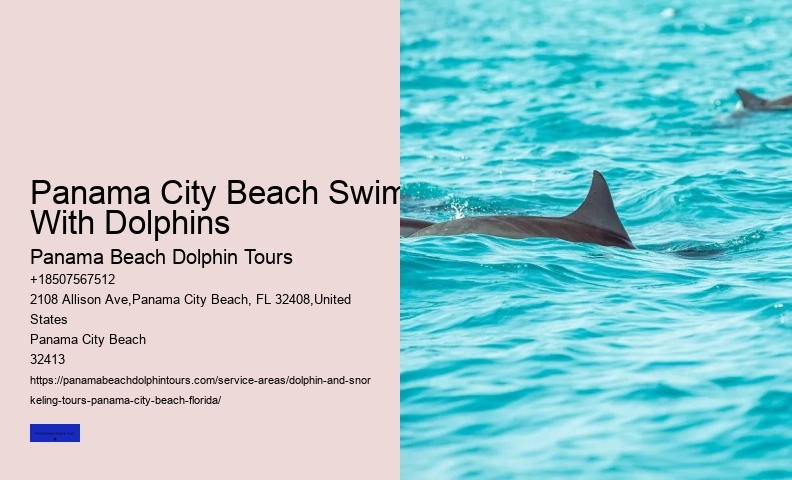 Panama City Beach Swim With Dolphins