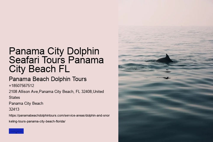 How Much Does It Cost To Swim With Dolphins In Panama City Beach