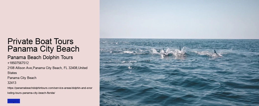 Come Swim With The Dolphins