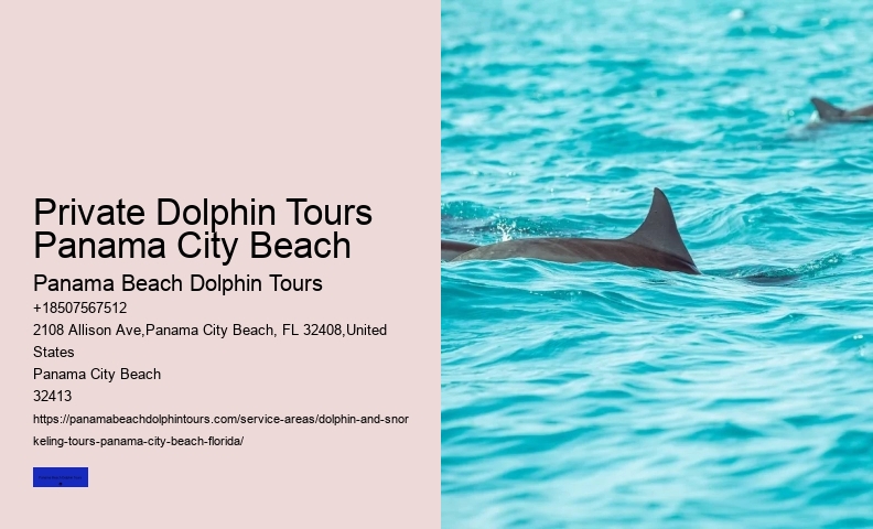 About Shell Island & Dolphins