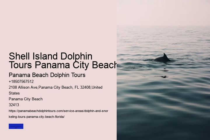 Wild Dolphin Tours Panama City Beach