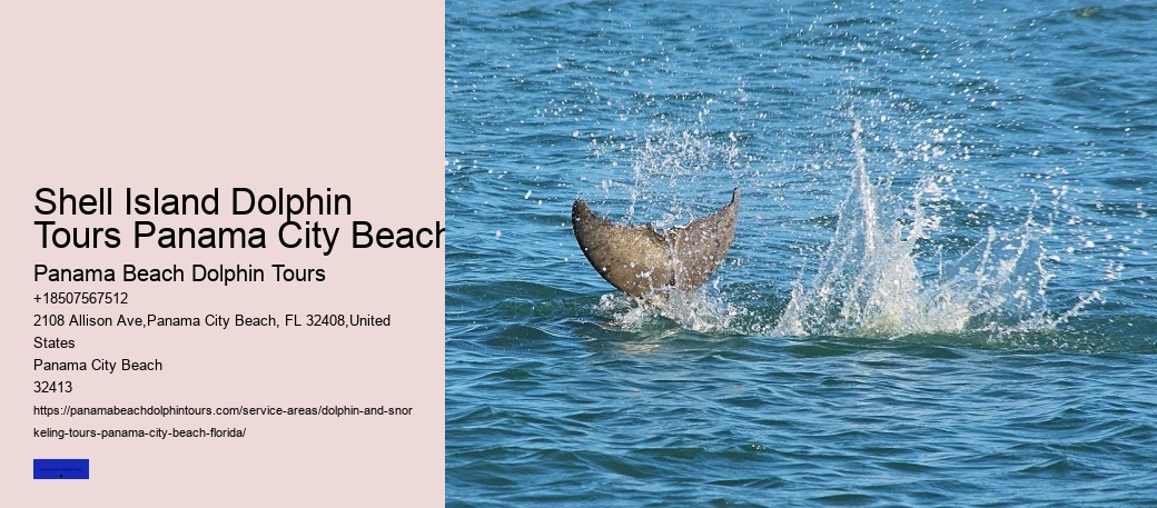 Are Dolphins Aggressive Towards Humans
