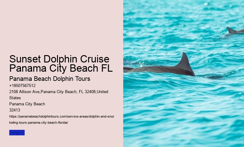 Dolphin Sightseeing