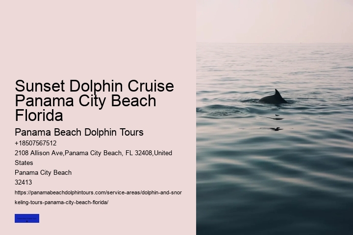 Swimming With Dolphin Tours Panama City