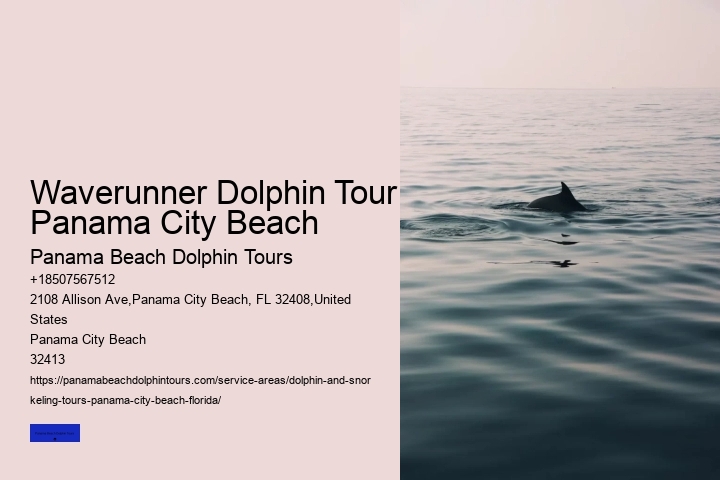 Is It Safer To Swim With Dolphins Or Sharks