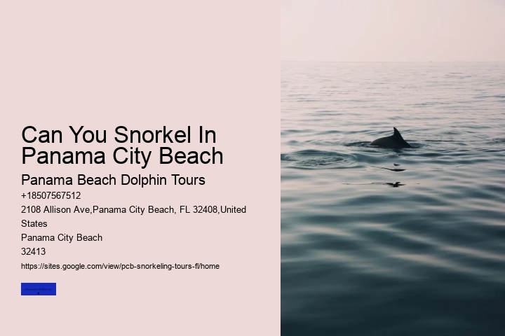Can You Snorkel In Panama City Beach