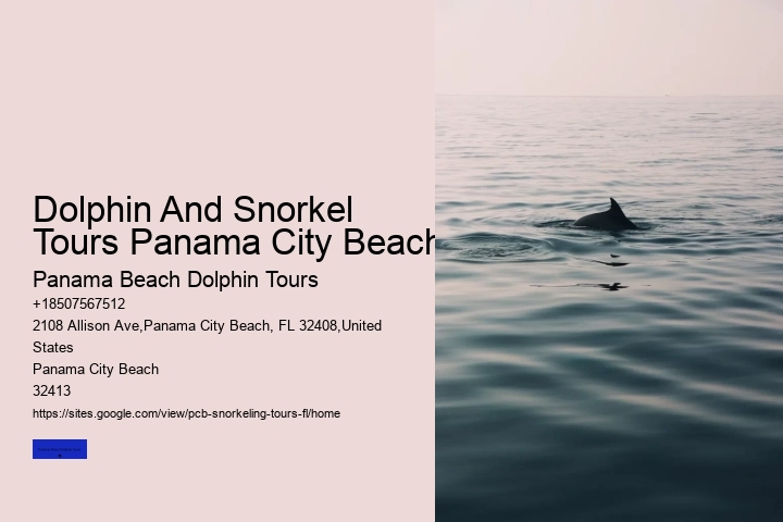 Dolphin And Snorkel Tours Panama City Beach
