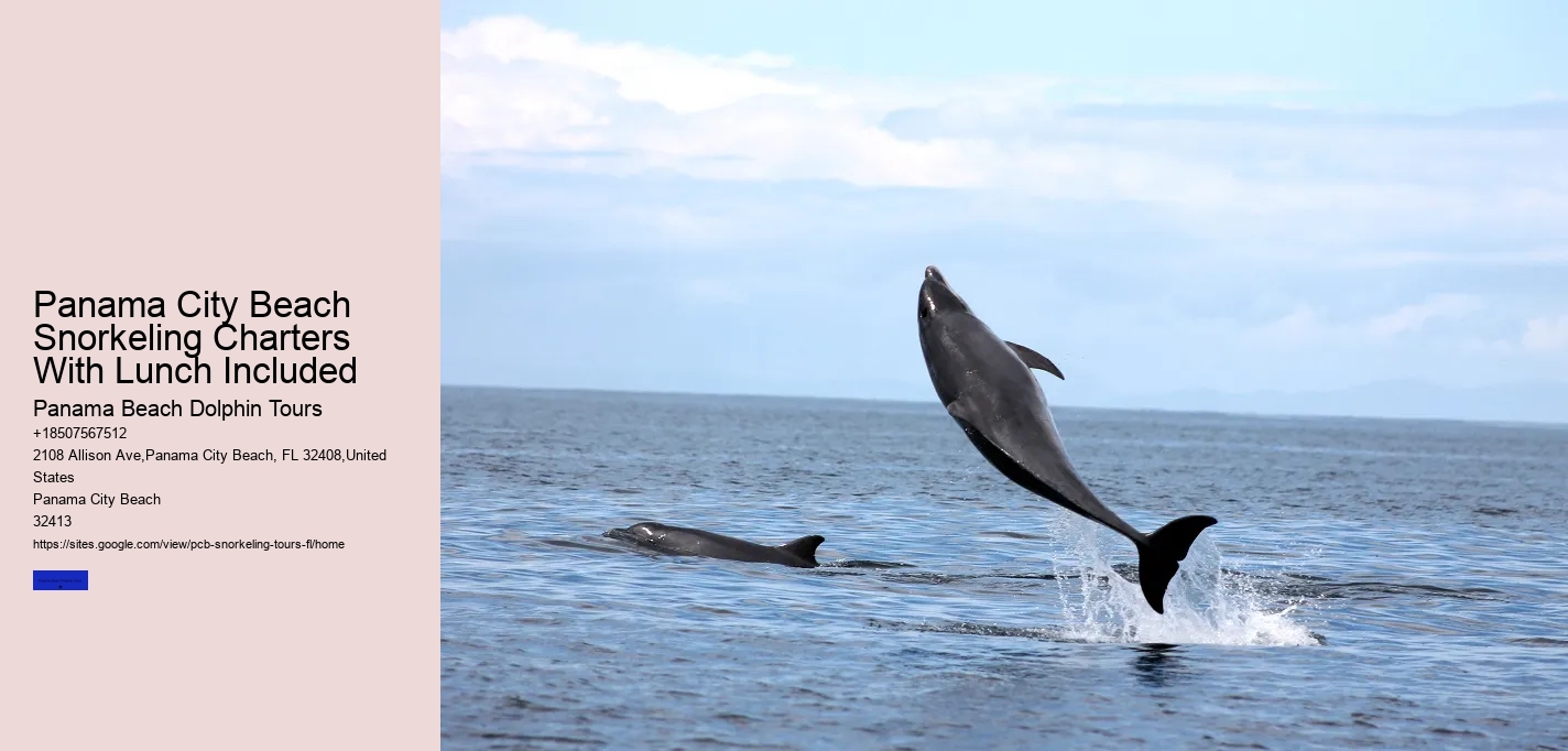 Panama City Beach Snorkeling Charters With Lunch Included