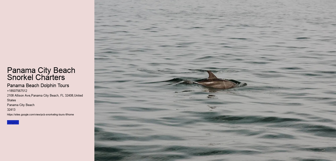 Panama City Beach Snorkel Charters