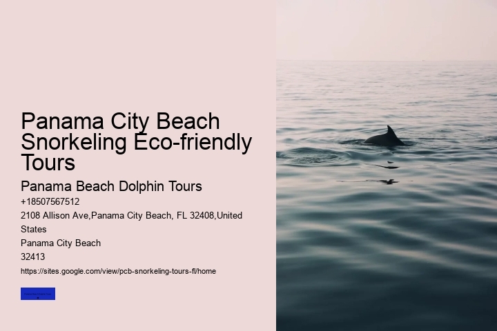 Panama City Beach Snorkeling Eco-friendly Tours