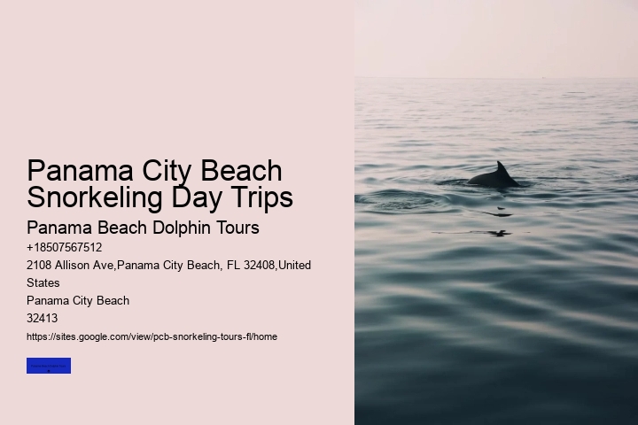 Panama City Beach Snorkeling Day Trips