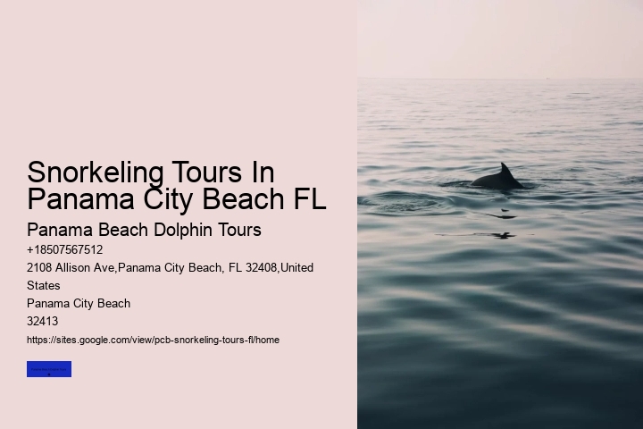 Snorkeling Tours In Panama City Beach FL