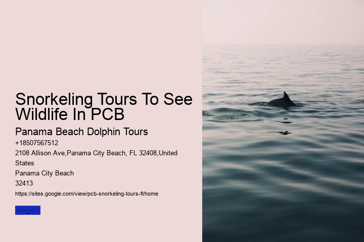 Snorkeling Tours To See Wildlife In PCB