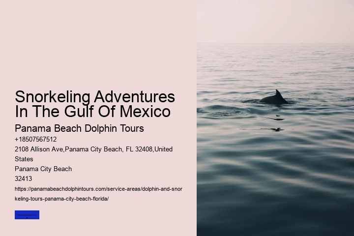 Snorkeling Adventures In The Gulf Of Mexico