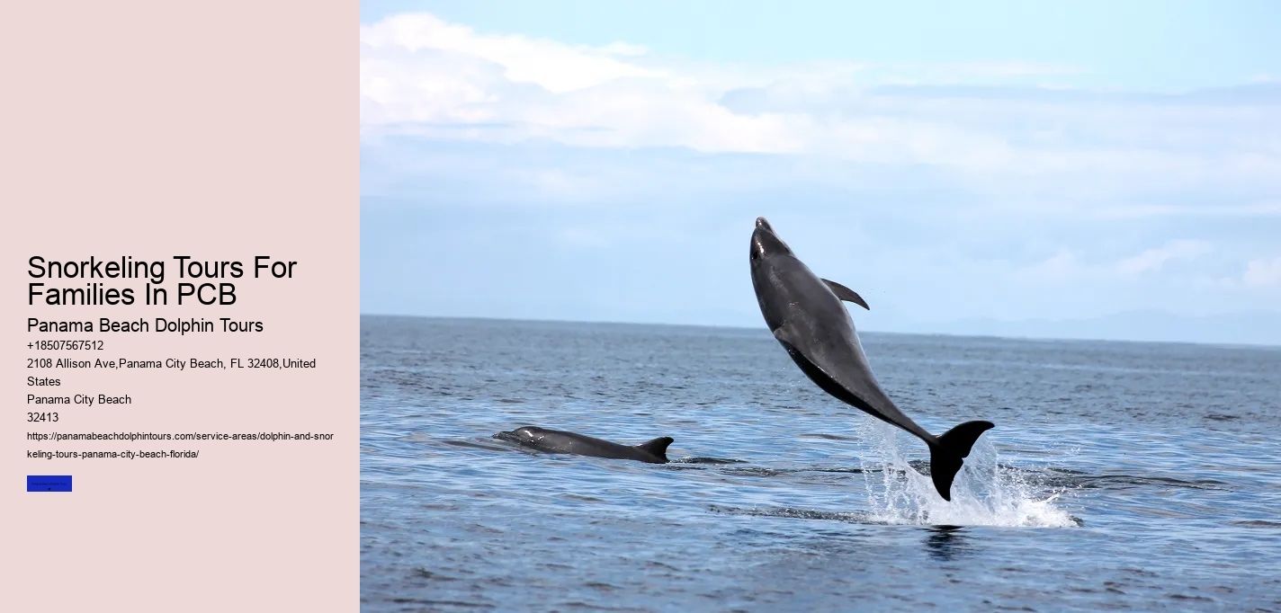 Snorkeling Tours For Families In PCB