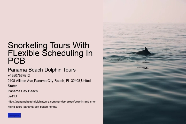 Snorkeling Tours With FLexible Scheduling In PCB